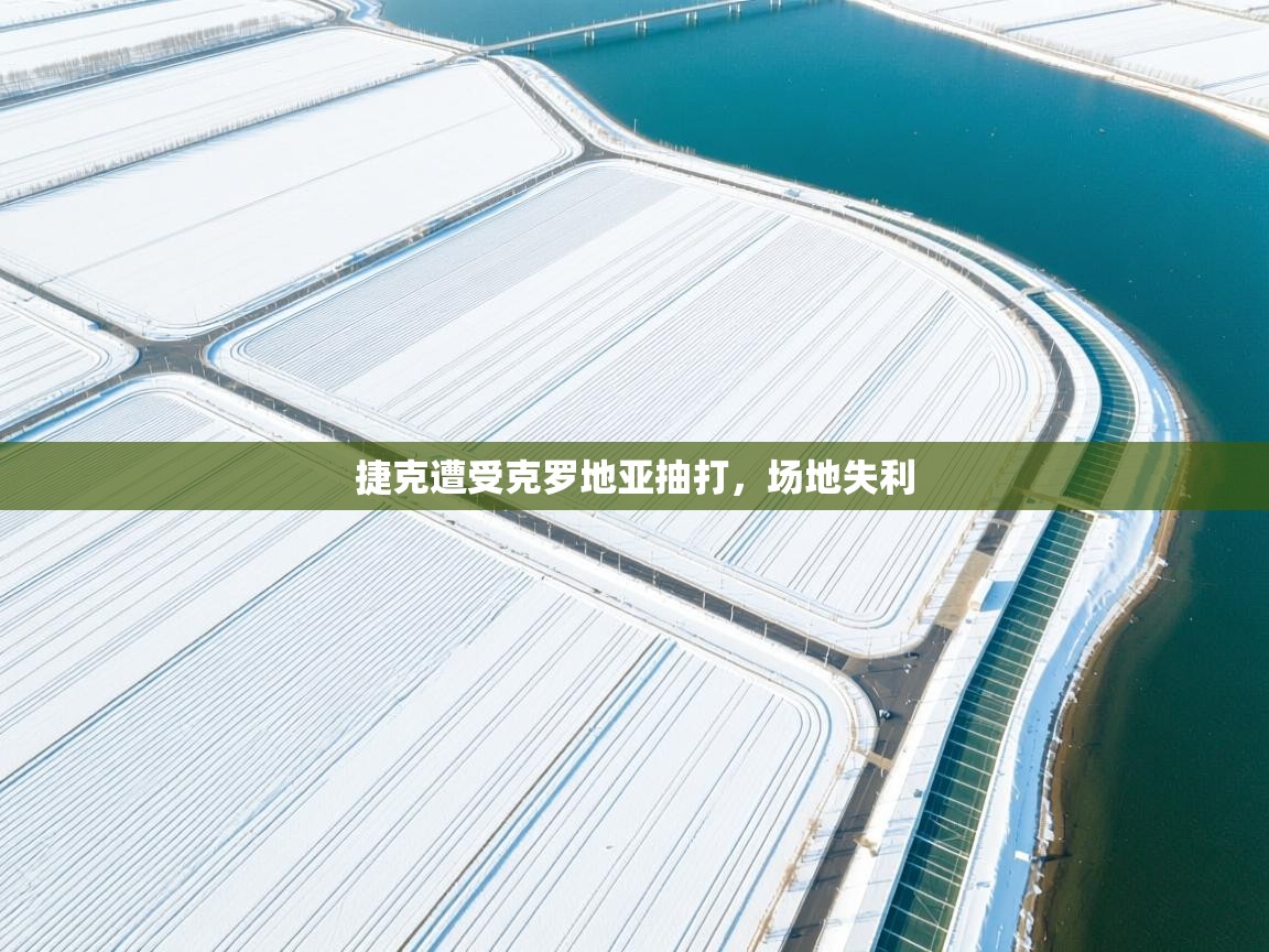 捷克遭受克罗地亚抽打,场地失利