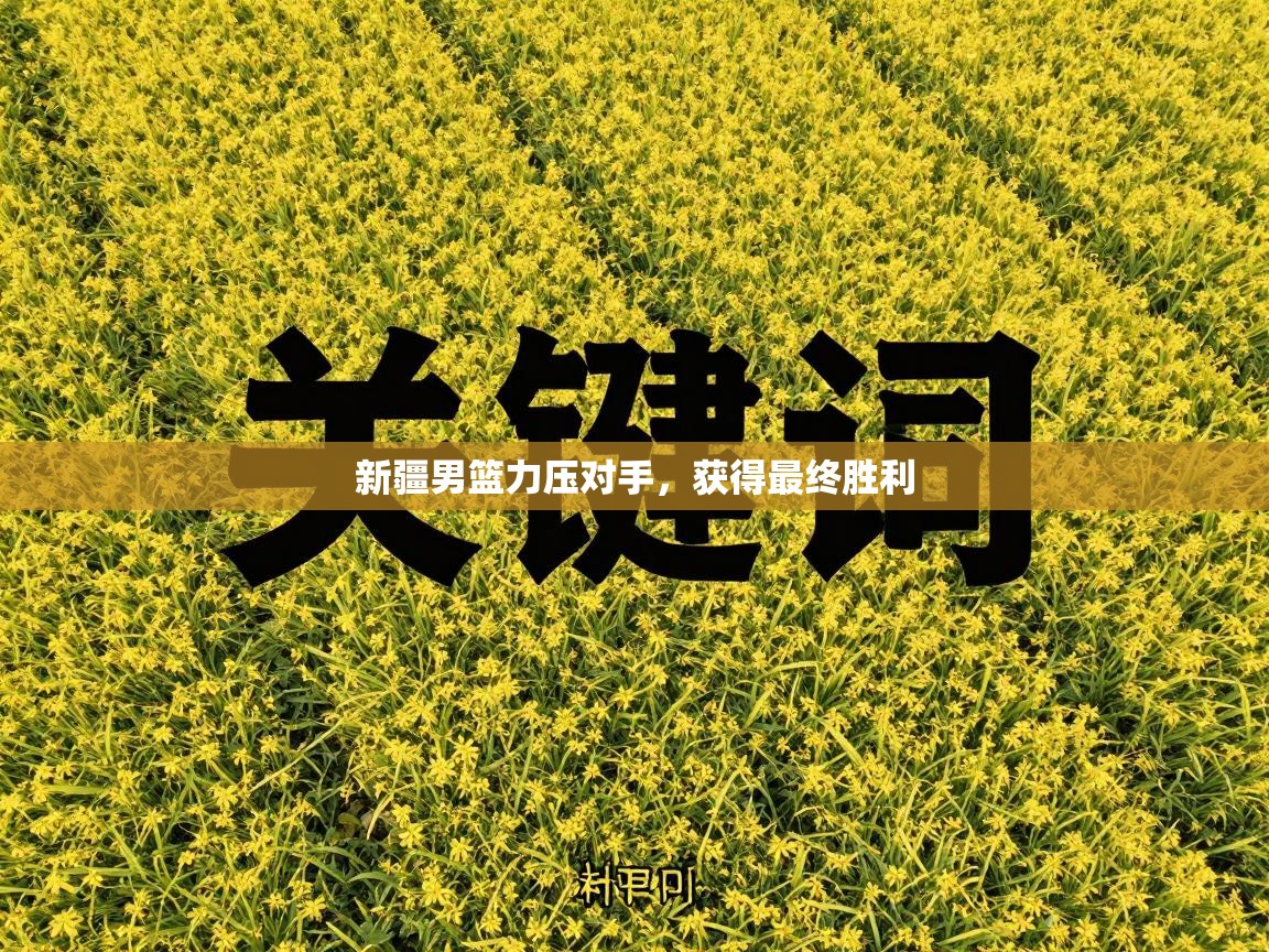 新疆男篮力压对手，获得最终胜利  第2张