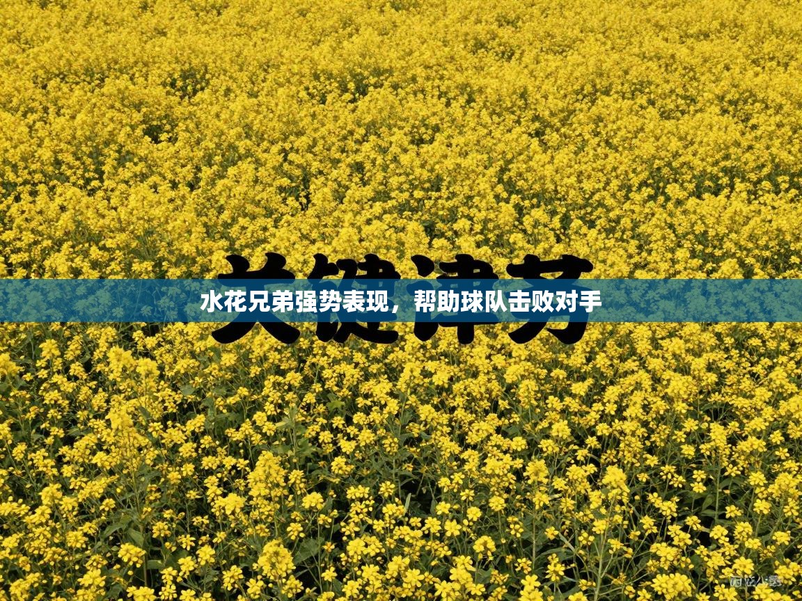 水花兄弟强势表现，帮助球队击败对手