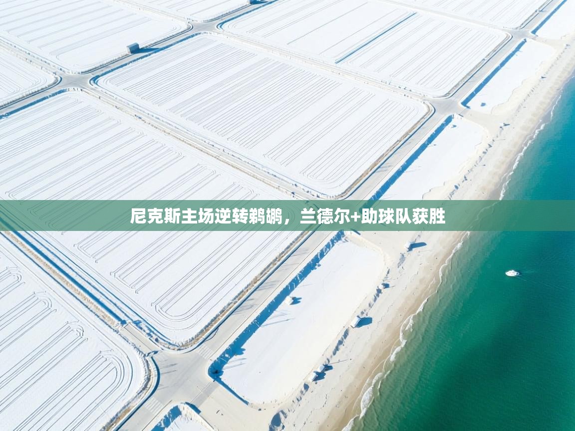 尼克斯主场逆转鹈鹕，兰德尔+助球队获胜