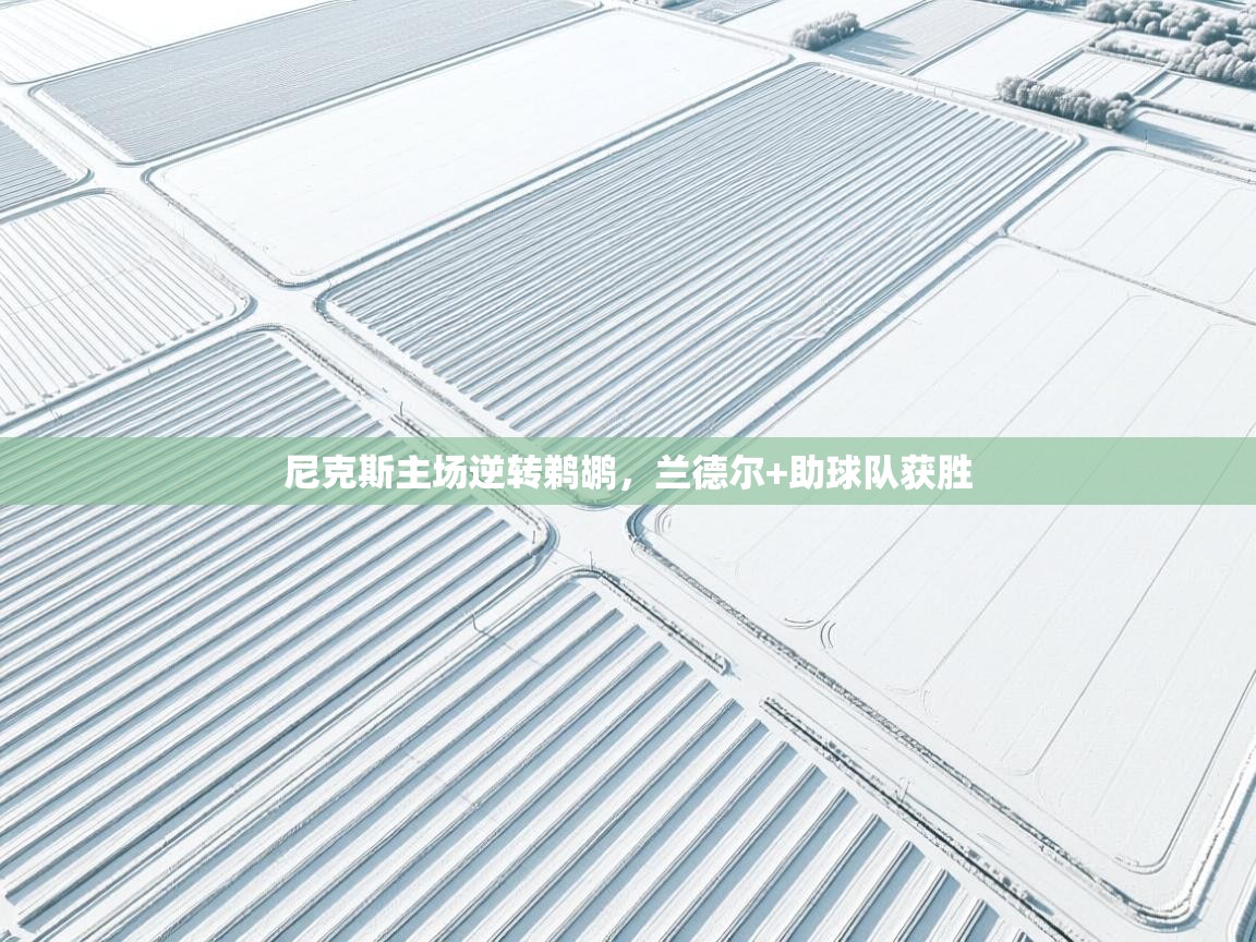 尼克斯主场逆转鹈鹕，兰德尔+助球队获胜