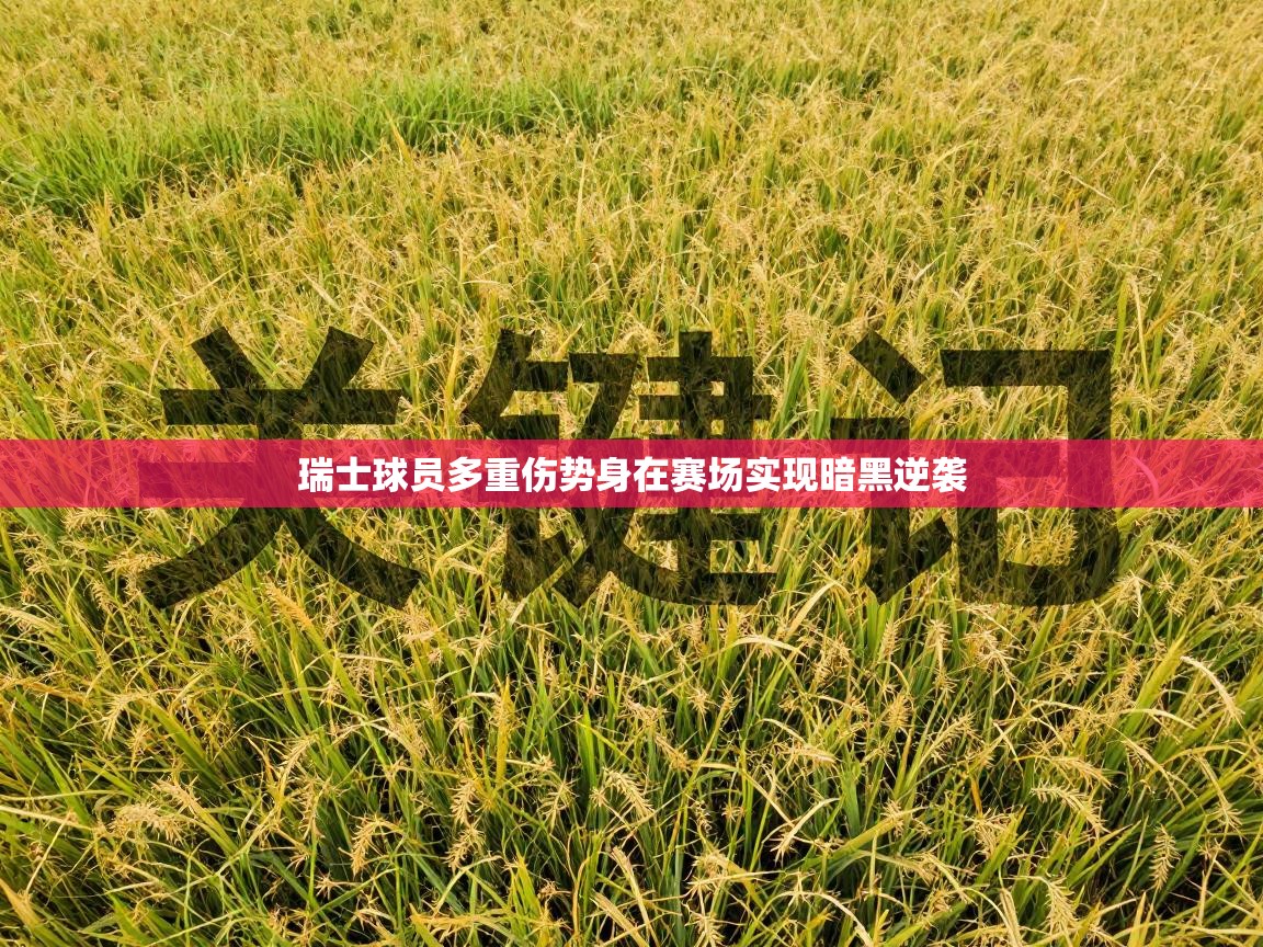 瑞士球员多重伤势身在赛场实现暗黑逆袭  第1张