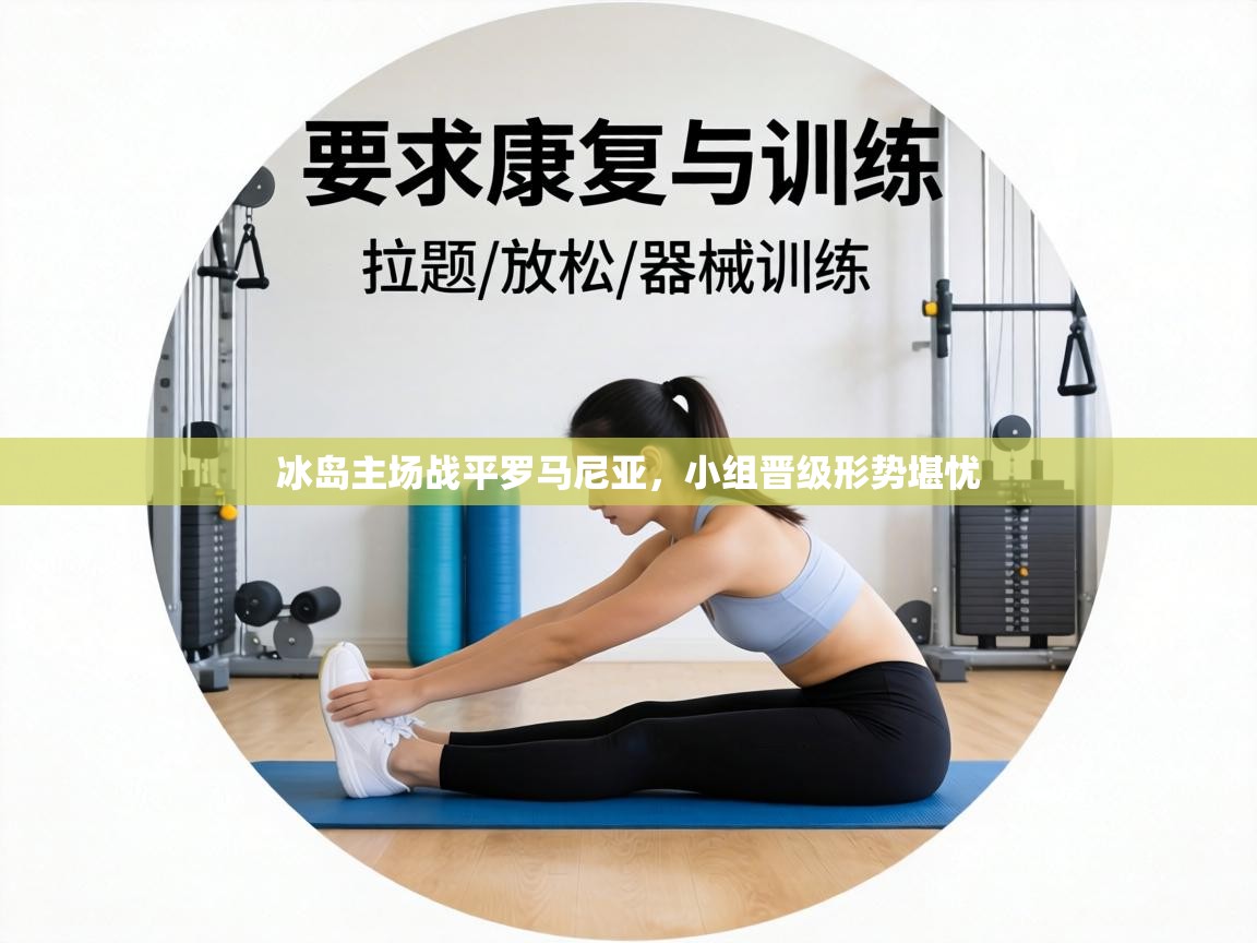 冰岛主场战平罗马尼亚,小组晋级形势堪忧 第2张