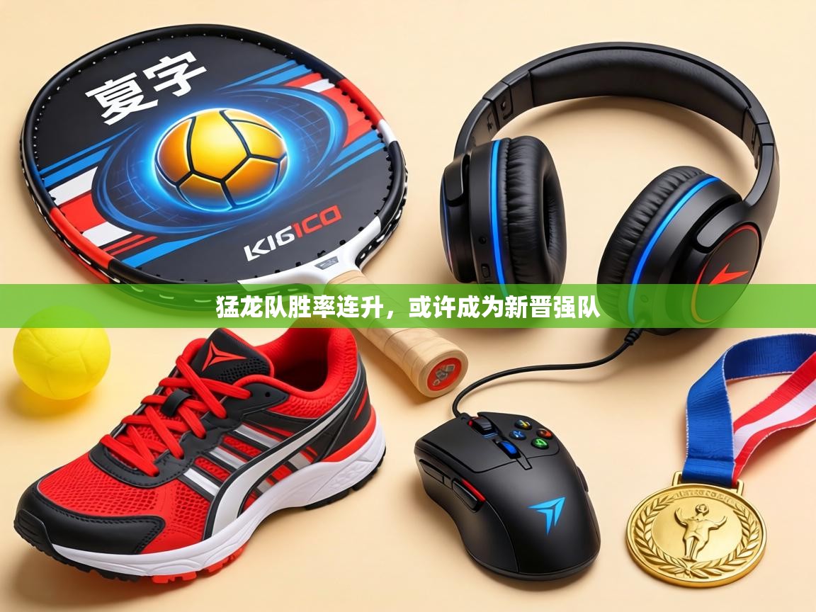 猛龙队胜率连升,或许成为新晋强队 第2张